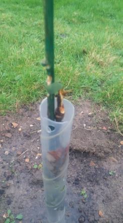 75380110_1954888637990964_8570663571959054336_n