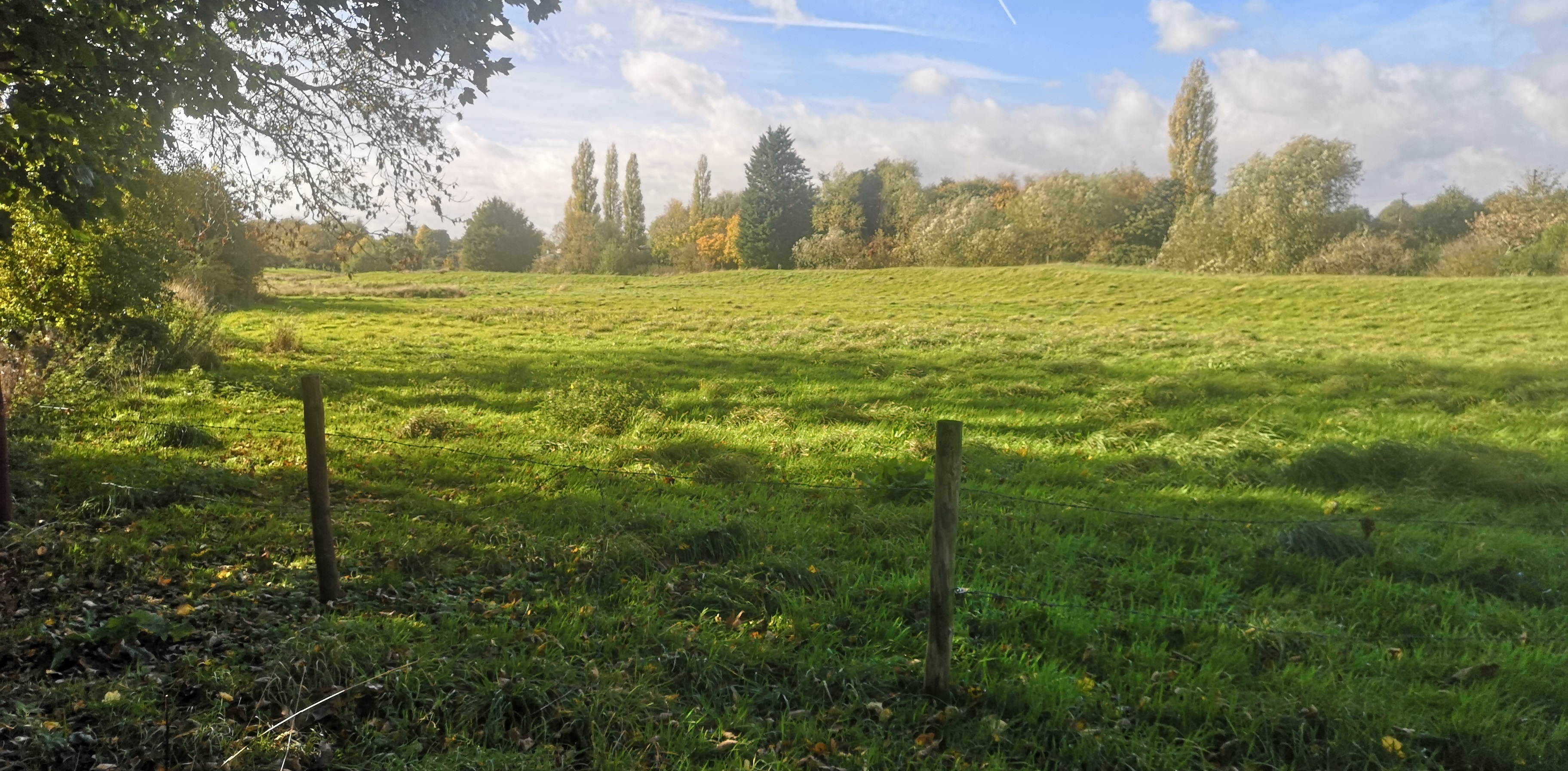 The Appeal of Mrs Toogood